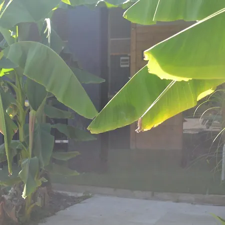 Maison Bertineau Proche Saint-emilion Ferienhaus *